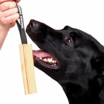 DINGO GEAR Dog Bite Tug Handmade of Beige Grain Leather, Strong Tug for Bite Training K9 IPO Agility and Just Fun S00231