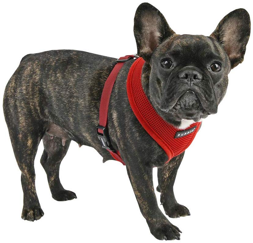 Puppia pdcf-ac30-wn Dog Soft Harness, M, Wine Red, Rosso Vino - Image 3