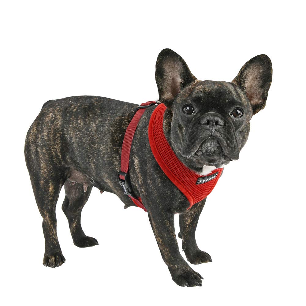 Puppia Dog Harness small dog and medium dog harness, Super soft and comfortable in many colours, Also usable as Puppy Harness - Image 3