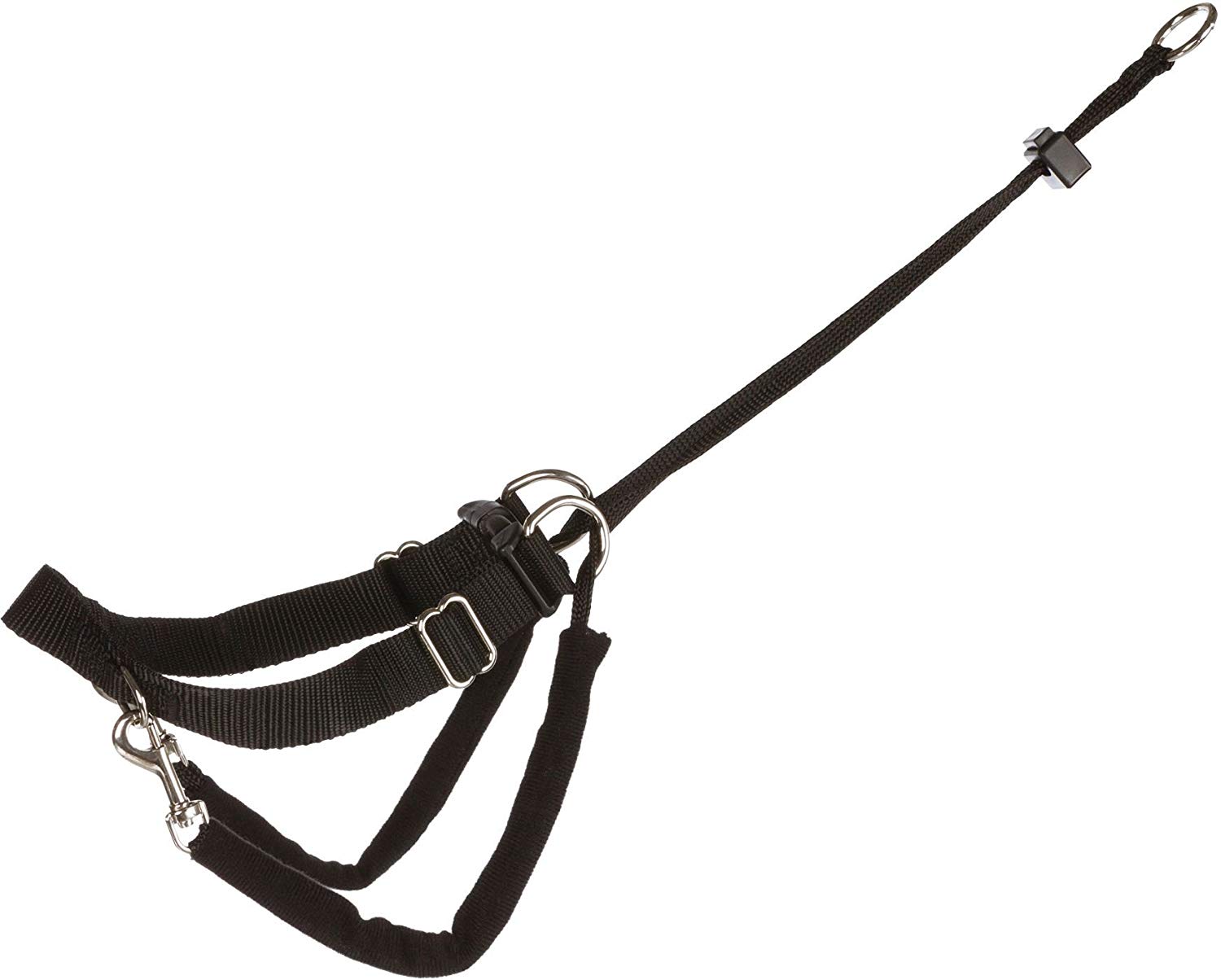 Trixie Lead N Walk Basic Dog Training Harness BigaMart
