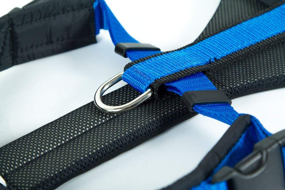 Neewa Bib Running, M, Blue, M (1 Unità ) - Image 4