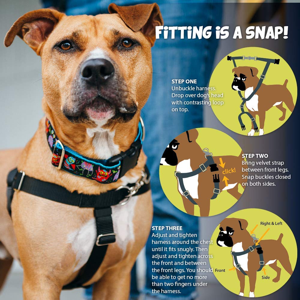 2 Hounds Design Freedom No-Pull No Leash Harness Only, 1-Inch, Medium, Teal - Image 3