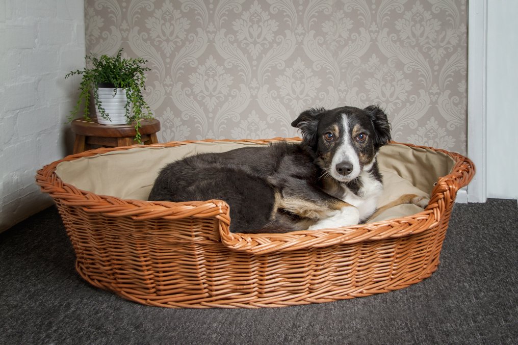 Prestige Wicker Wicker Dog Bed Basket with Cushion, Medium, Dark, Dark Brown, 75 x 60 x 19 cm (L x W x H) - Image 4