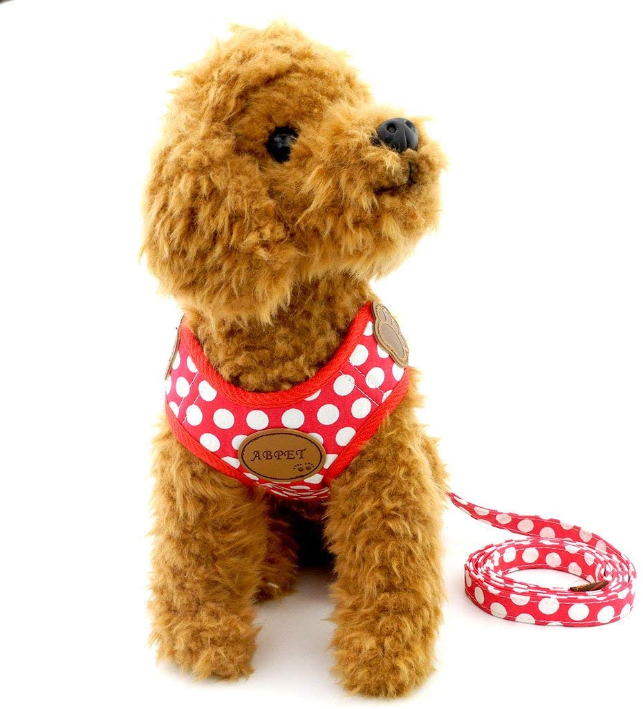 SMALLLEE_LUCKY_STORE CWYP00068-Red-S New Soft Mesh Nylon Vest Pet Cat Small Medium Dog Harness Dog Leash Set Leads,Red, S - Image 3