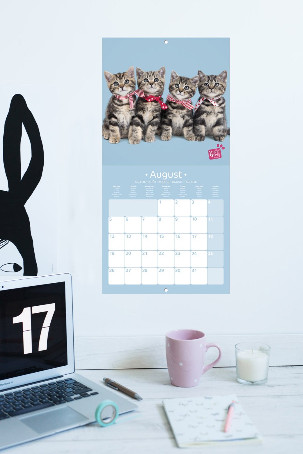 Grupo Erik editores Studio Pets Calendar with Cats Design, 30 x 30 cm