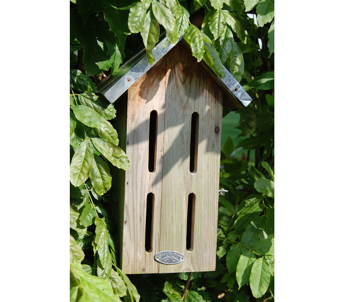 Dehner Butterfly Home - approx. 32.5 x 19 x 14.5 cm - Pine Wood - Image 2