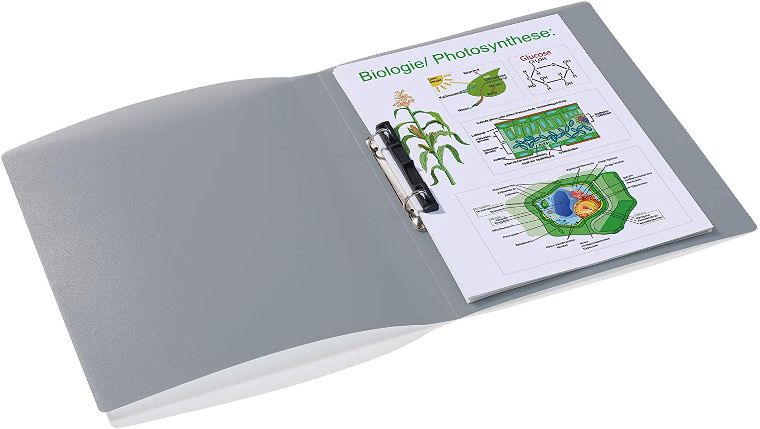 HERMA Ring Binder Translucent in Grey, A4, 25 mm Spine, Slim 2-Ring Binder Made of Plastic - Image 4