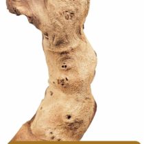 Marina Aquarium Mopani Driftwood Ornamental Root Décor, Large