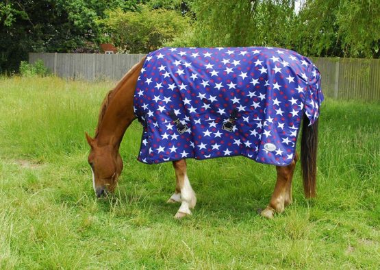 Rhinegold Star Torrent Outdoor Rug-Lightweight No fill - Image 2
