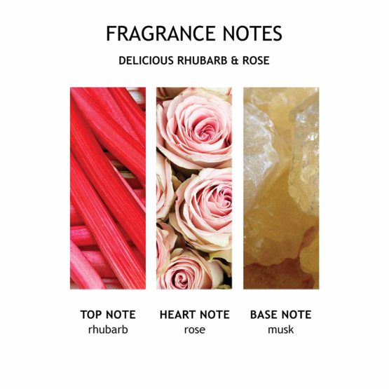 Molton Brown Delicious Rhubarb and Rose Fine Liquid Hand Wash 300 ml - Image 2