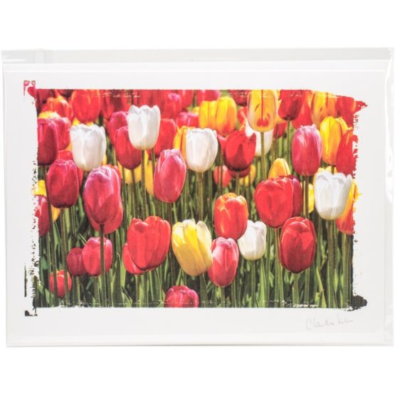 Paper House Artist Series Photo Card with Envelope Tulips, Acrylic, Multicoloured, 0.1 x 5.4 x 7.15 cm