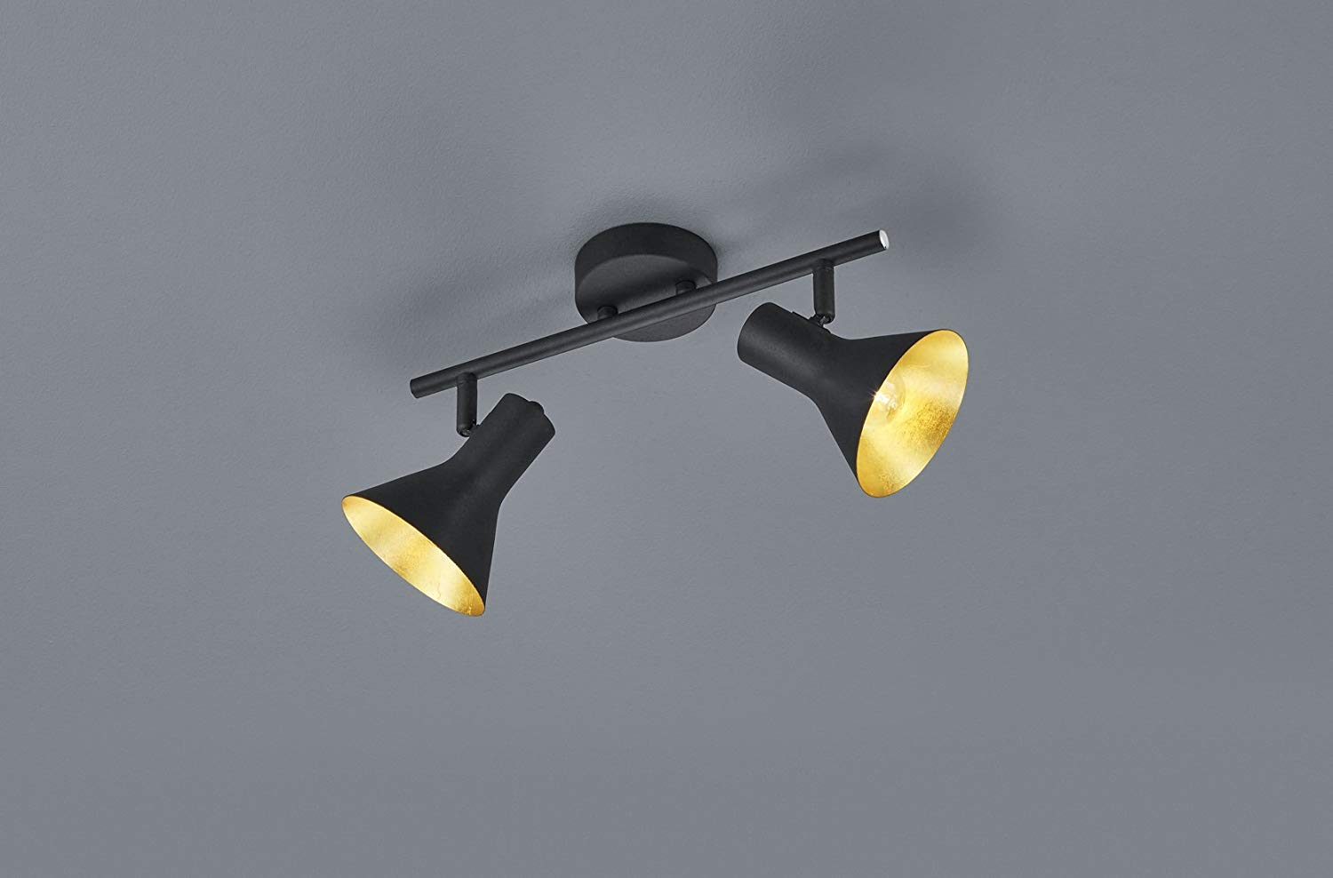 Reality Lamps, spot lamp, Metal, Black/Gold Light Bar 2-Flame Black/Gold - Image 2