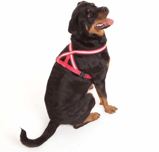 COA Comfy Harness, Large - Image 3