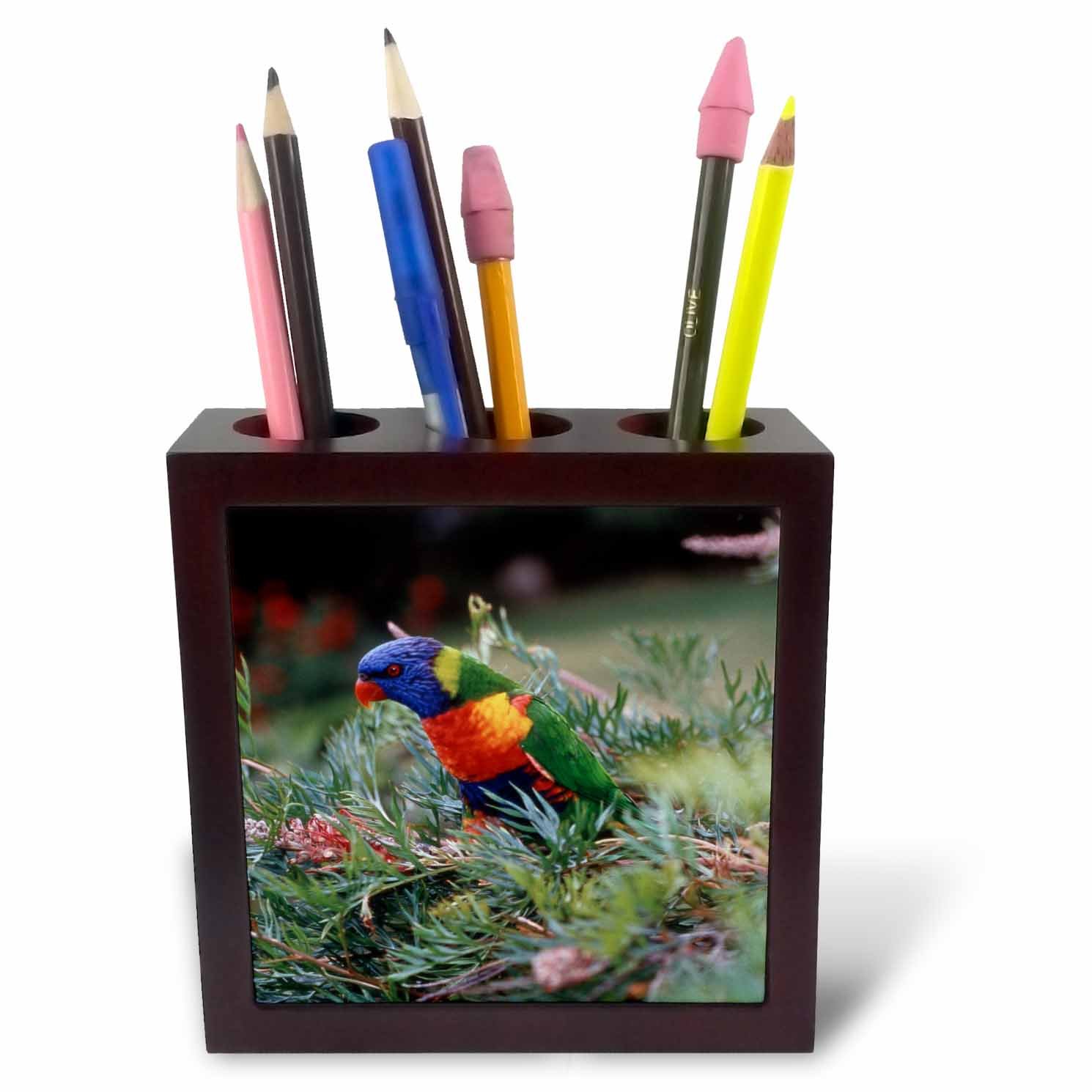 3dRose ph_226236_1 5-Inch Australia/Eastern States of Australia/Close-Up of Rainbow Lorikeets Tile Pen Holder