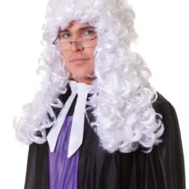 Bristol Novelty BW339 Judge Budget Wig White, One Size