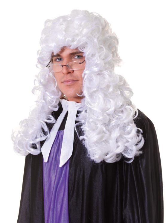 Bristol Novelty BW339 Judge Budget Wig White, One Size