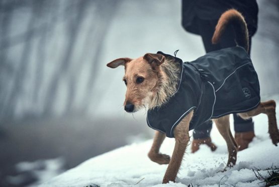 HUNTER Uppsala Softshell Dog Coat, 50 cm, Black - Image 4