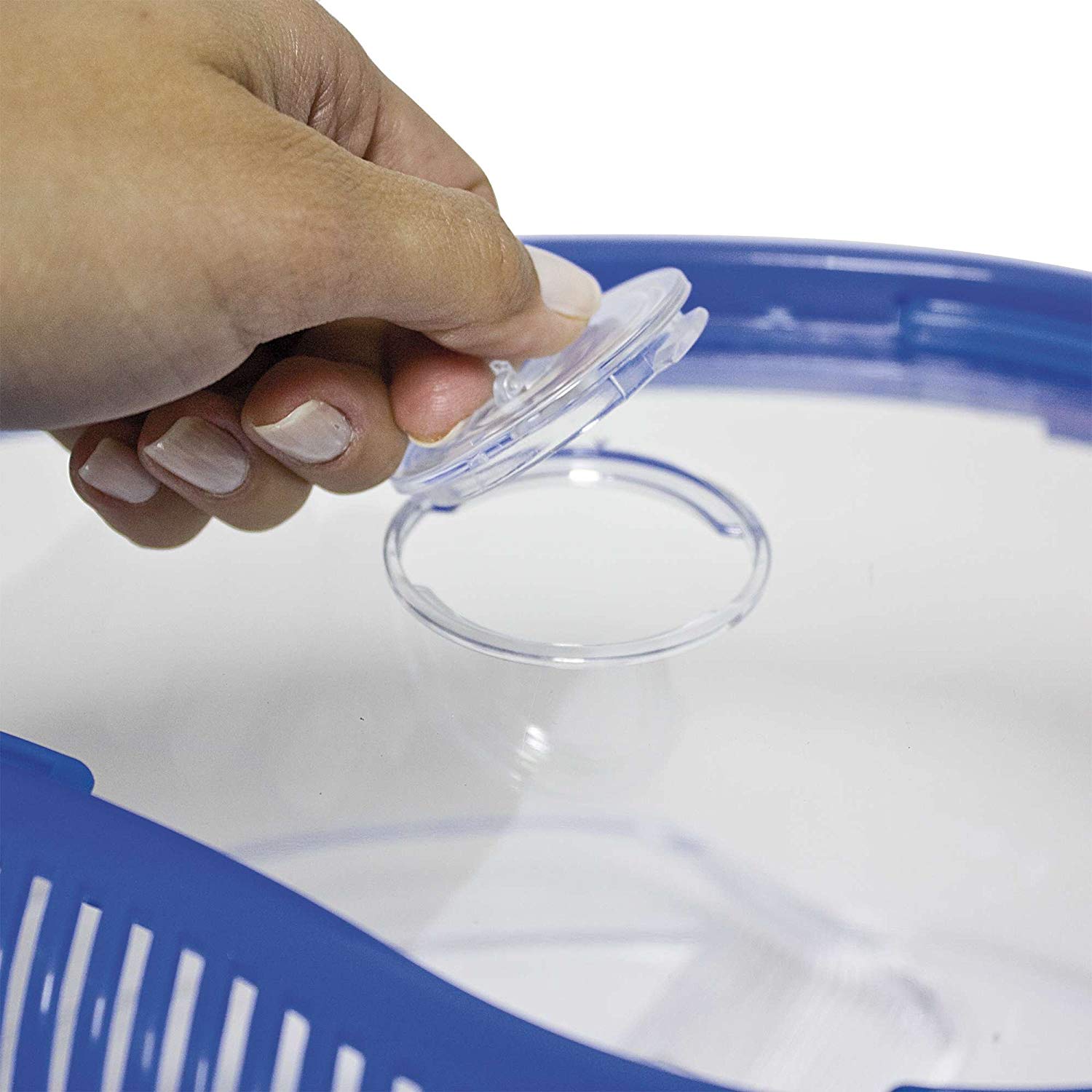 ICA TT351 Turtle without Lid Dophin, bunt - Image 3