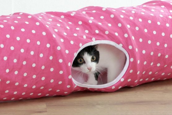 Kerbl Cat Tunnel, 100 x 25 cm, Pink/White, Puntino - Image 3