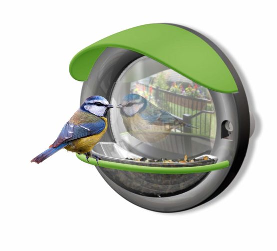 My Living World LW105 Window Bird Feeder, Multicolor - Image 3