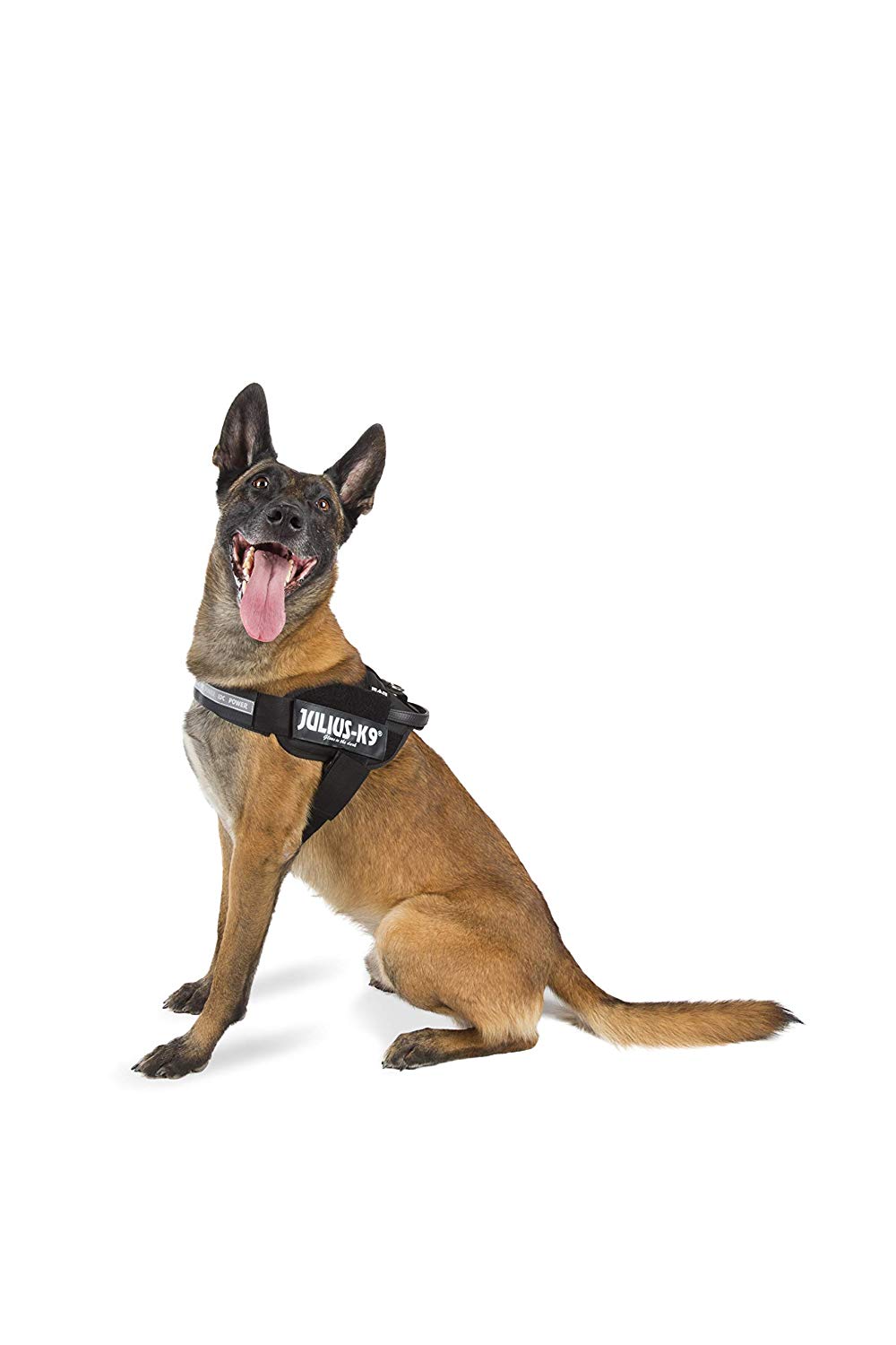 Julius-K9, 16STEALTH-P-3, IDC-Powerharness, Size: 3, STEALTH, black, 2XL / 3 - Image 4