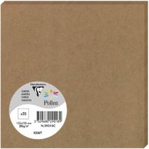 Clairefontaine Pollen Kraft Card, 135 x 135 mm, 210 g - Pack of 25