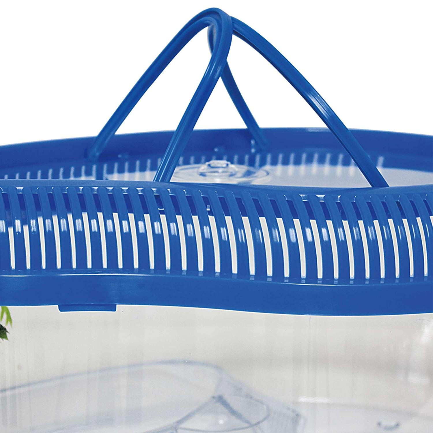 ICA TT351 Turtle without Lid Dophin, bunt - Image 2