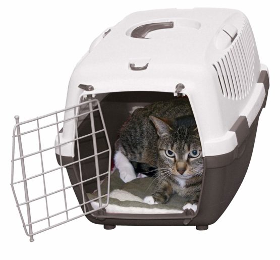Kerbl Cushion, 74 x 43 cm - Image 2