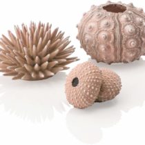 biOrb Sea urchin Set natural