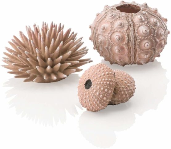 biOrb Sea urchin Set natural
