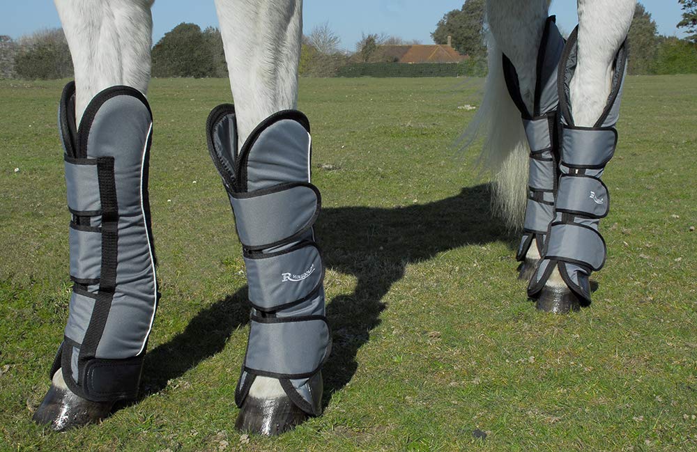 Rhinegold Elite Full Length Travel Boots-Cob/Silver/Black, Silver / Black