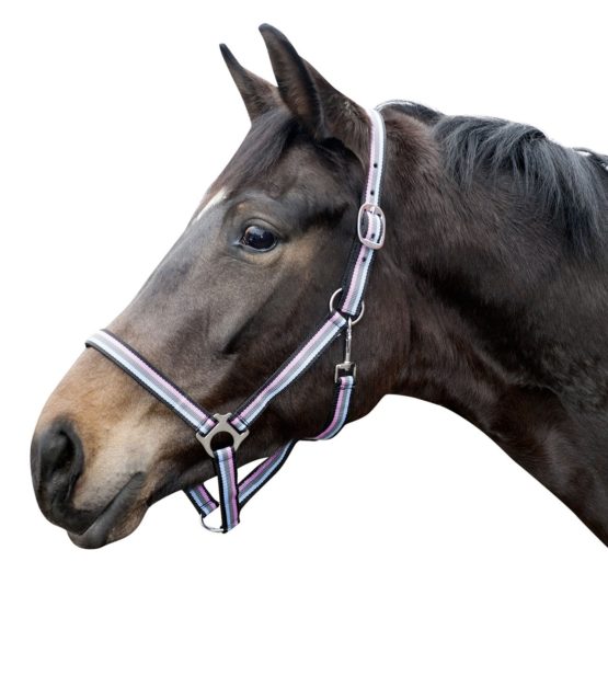 Hkm Hkm 4057052242724 Headcollar Linz-8519 Black/Grey/Pink/Blue Pony - Image 2
