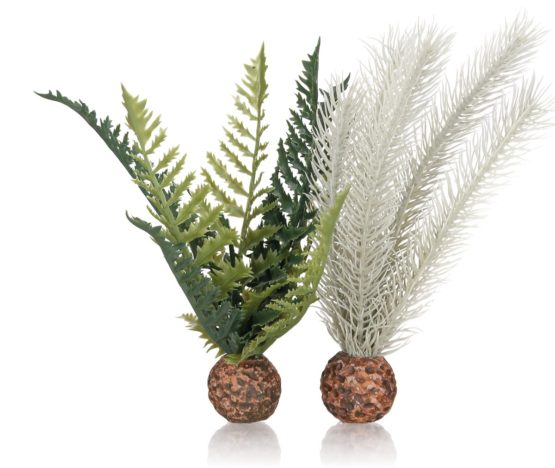 biOrb fern grey/green S