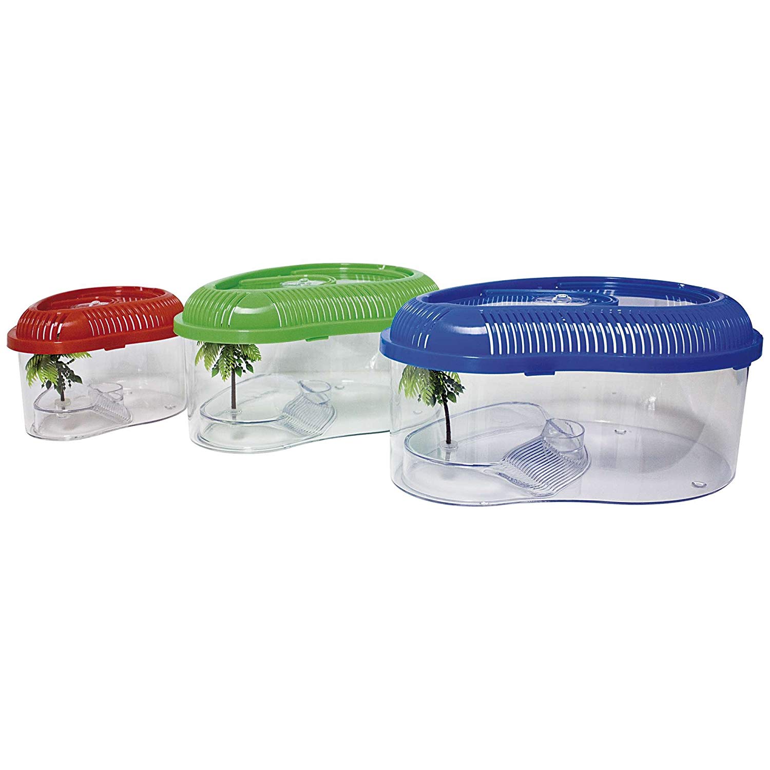 ICA TT351 Turtle without Lid Dophin, bunt