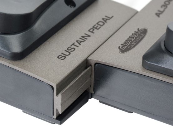 Classic Cantabile AL308 Sustain/Drive-Sustain Pedal - Image 2