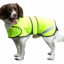 Cosipet Safety Coat, 22-inch/ 56 cm, Yellow