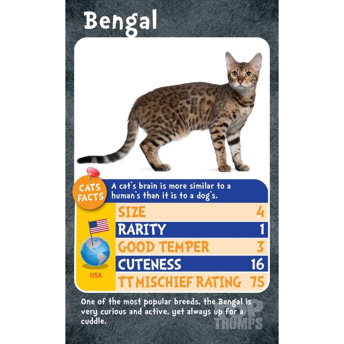 Top Trumps Cats Card Game - Image 3
