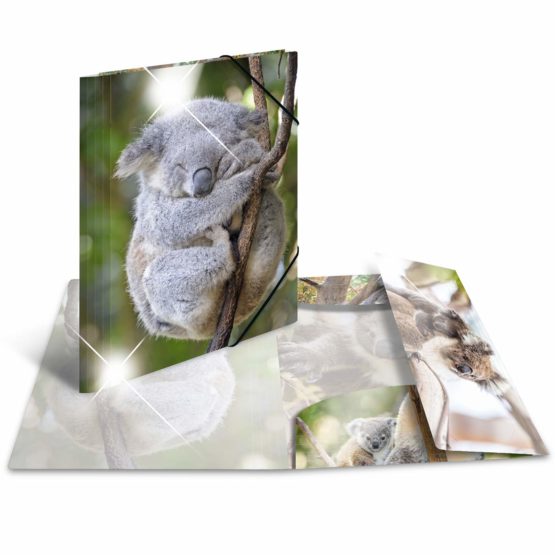 HERMA Elastic Folder Animals, Assorted Colourful Designs, A4, Glossy Plastic, with Inner Print, Pack of 10 - Image 4