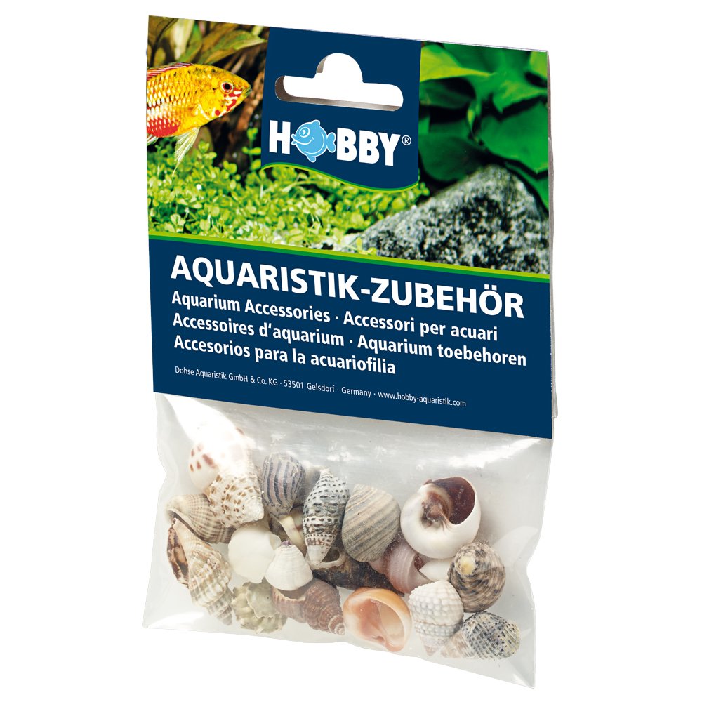 Hobby Aquarium Decoration Natural Shells Set for Hermit Crab 20 Pieces, Natural Materials, Natural Color, Multicolor, S, 20 Stück