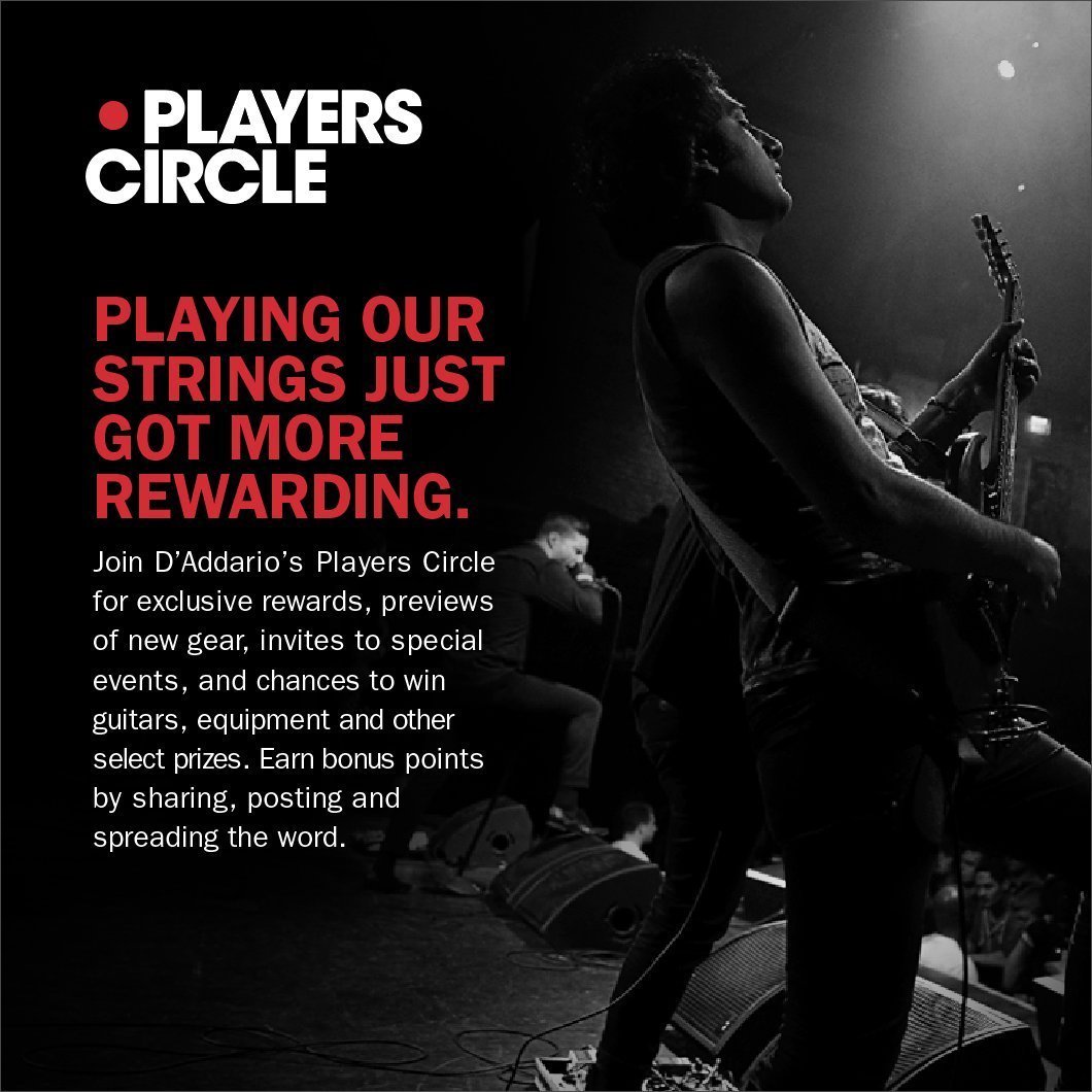 D'Addario Guitar Strings, Phosphor Bronze Acoustic Guitar Strings, EJ16-10P, Rich, Full Tonal Spectrum, For 6 String Guitars - Image 2