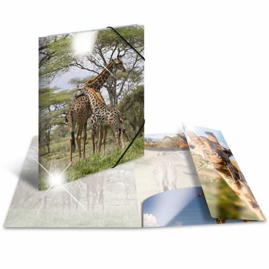 HERMA Elastic Folder Animals, Assorted Colourful Designs, A3, Glossy Plastic, with Inner Print, Pack of 10 - Image 3