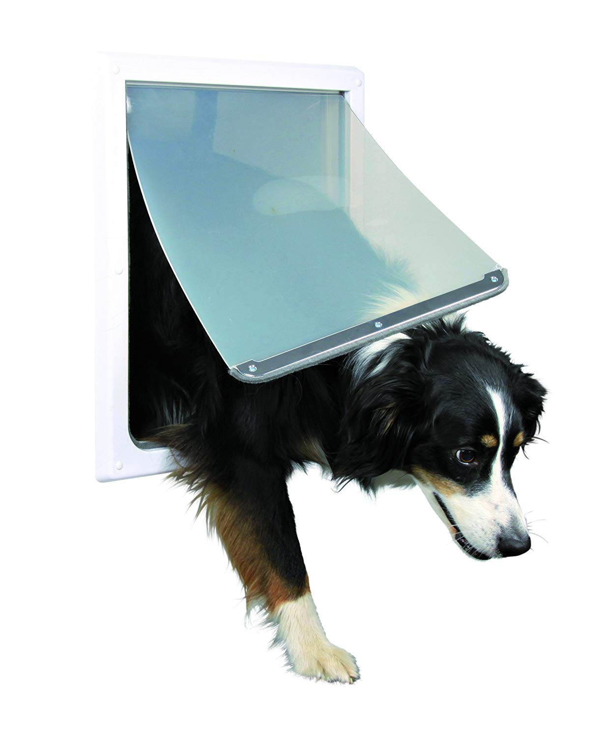 Trixie 2Way Dog Flap, 39 x 45 cm, White BigaMart
