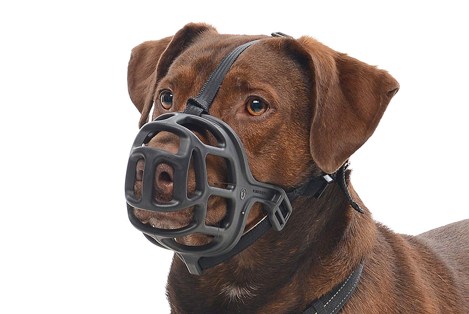 kruuse dog muzzle