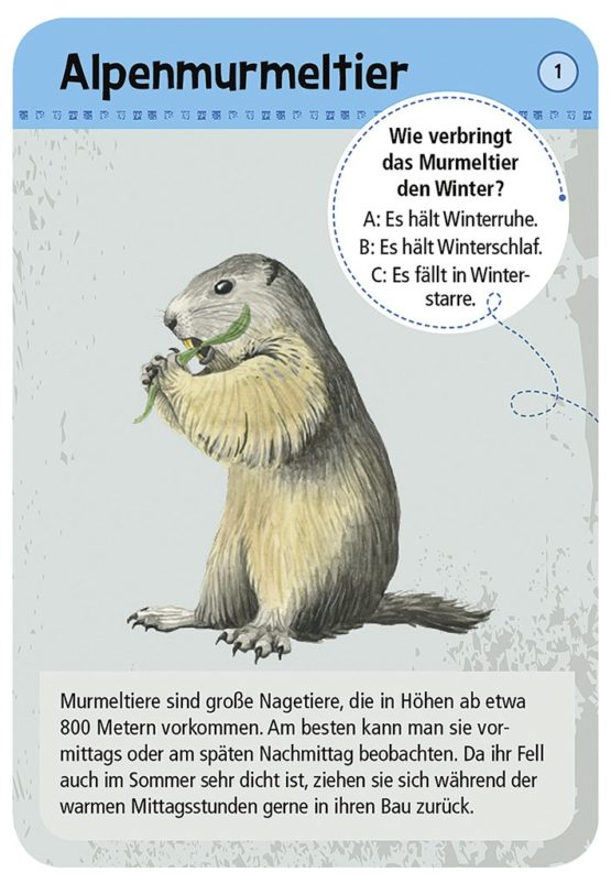 moses. Expedition Natur – 50 native animals and plants in the mountains, determination cards in a set, with exciting quiz questions - Image 2