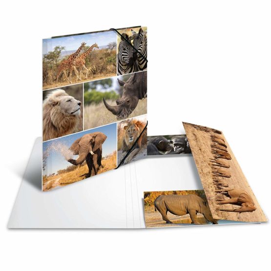 HERMA Elastic Folder Animals, Assorted Colourful Designs, A4, Sturdy Cardboard, with Inner Print, Pack of 10 - Image 3