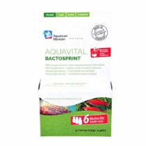 Aquarium Münster bactosprint 3x10ml for Aquarium