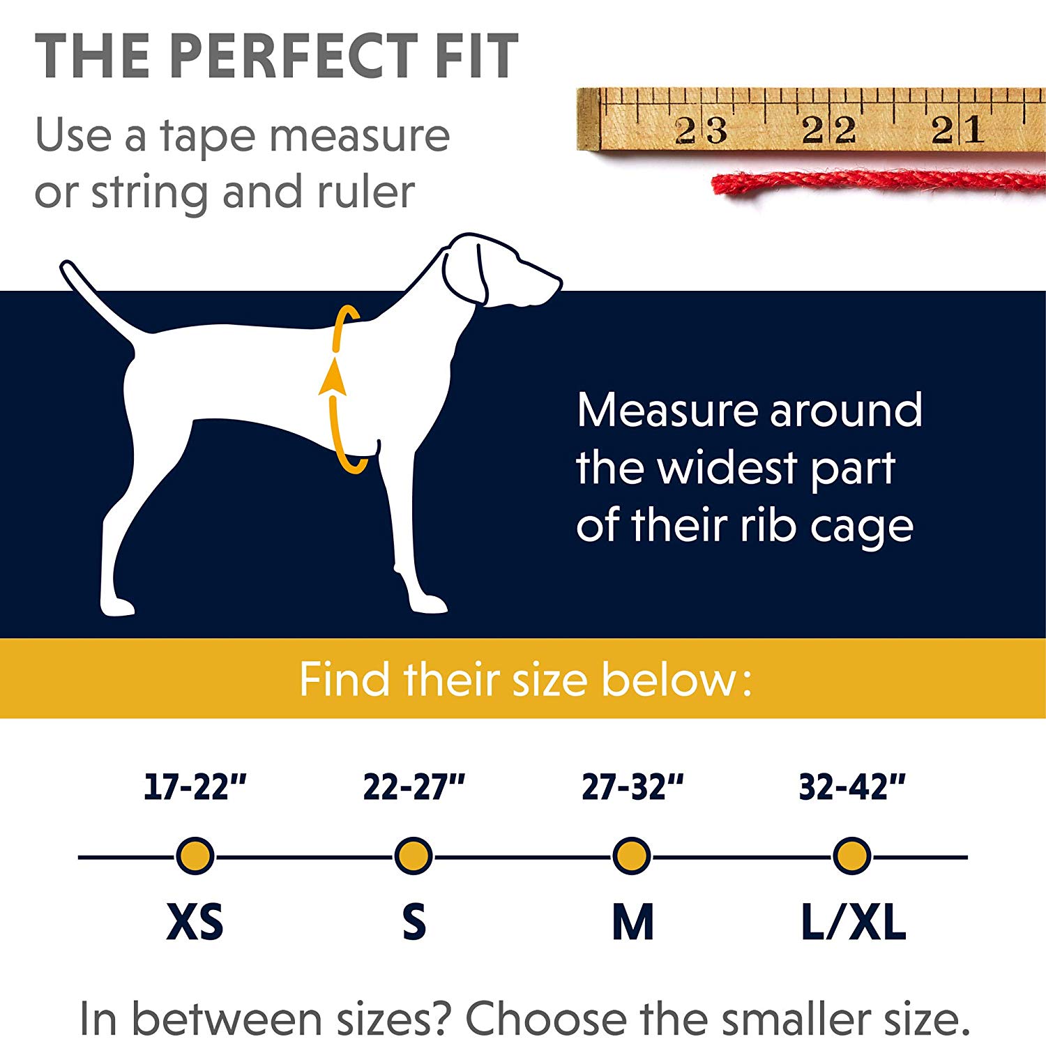 Ruffwear Climbing Harness for Dogs Large to Very Large Breeds, Adjustable Fit, Size: Large/X-Large, Cloudburst Grey, Doubleback Harness - Image 2
