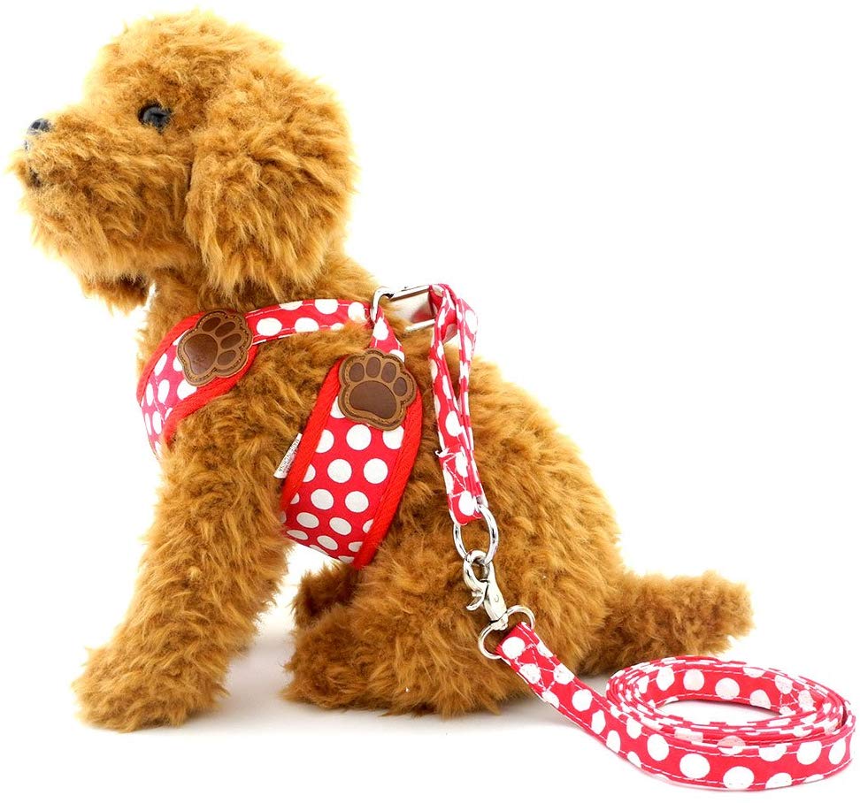 SMALLLEE_LUCKY_STORE CWYP00068-Red-S New Soft Mesh Nylon Vest Pet Cat Small Medium Dog Harness Dog Leash Set Leads,Red, S - Image 4