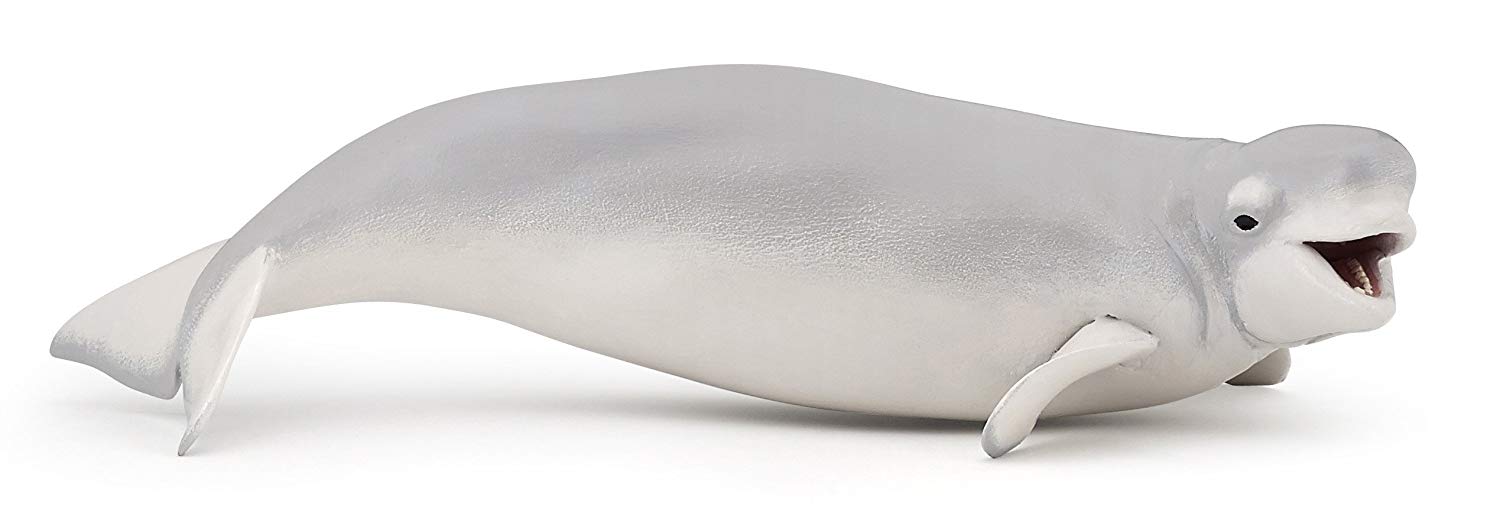 PAPO, Beluga Whale, Realistic Figurine, for Ages 3+, Sea Life Collection, Hand Painted, Highly Detailed