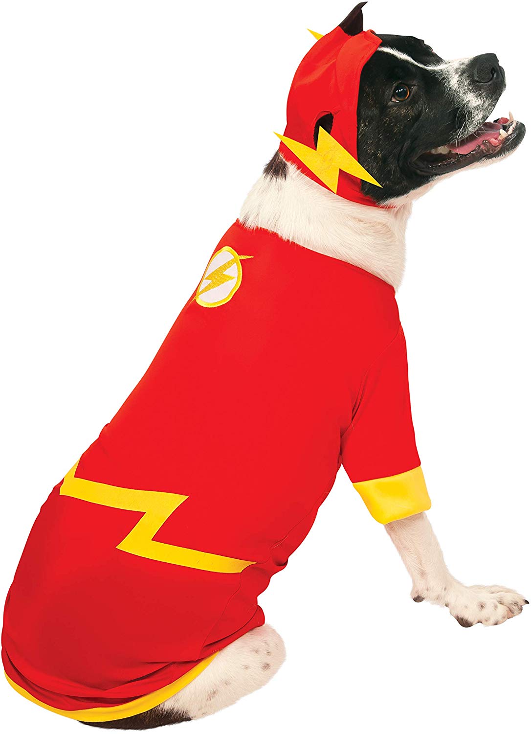 Rubies mens Official s DC Comic Flash Pet Dog Costume Super Hero Gift Size Medium, Multi-colored, M UK Halloween Halloween